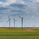 begeleiding energiecooperaties waalwijk vlechtwerk